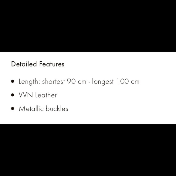 Louis Vuitton vachetta leather shoulder strap. - Picture 8 of 8